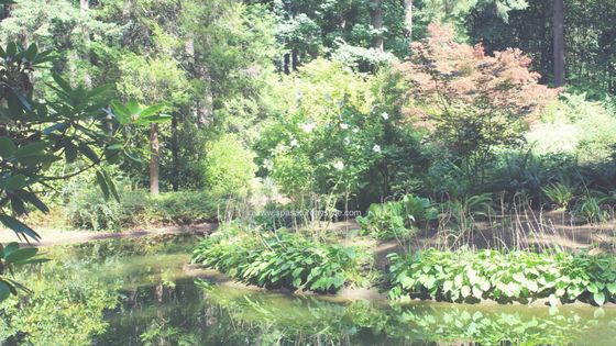 TheGrotto_Portland_SpaSaturday